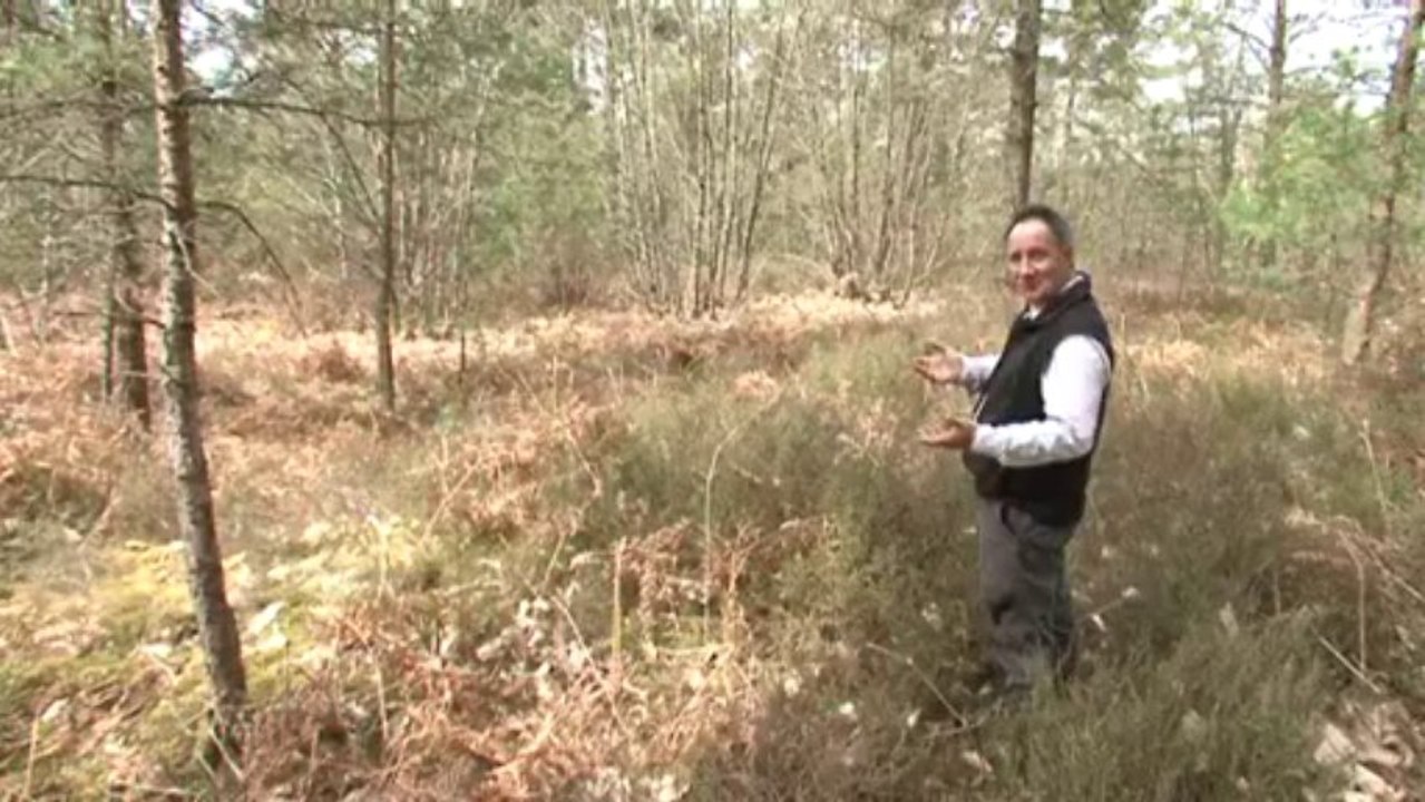 Série PAYSAGES France 3 Centre  la SOLOGNE de Pierre Aucante