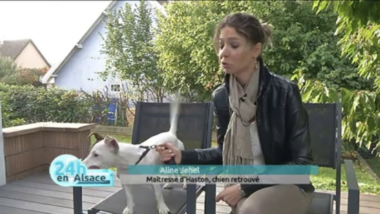 ALSACE 20 270913 PET ALERT 68
