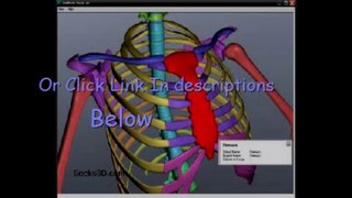 Human Anatomy Download - Easy Way to Get 3D Anatomy Software FREE