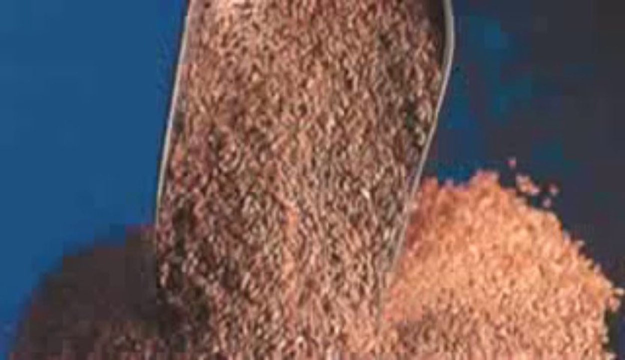 Omega 3s Help You Burn Fat - The Truth About Fat Burning Foods