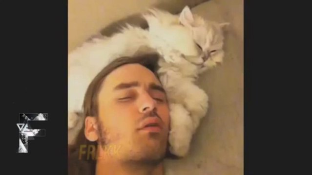Un bébé chat prend son biberon! Compilation de Chats trop mignons! Funniest Cat Vines 2013!