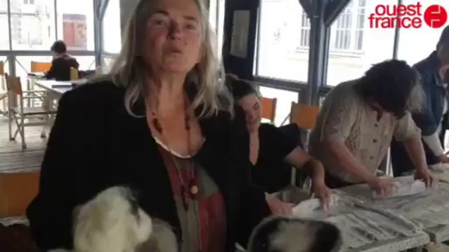 Apprendre l'art du feutre à Alençon - Salon Fil et dentelle