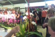 Saint-Martin-des-Champs. Expo-vente d'orchidées rares