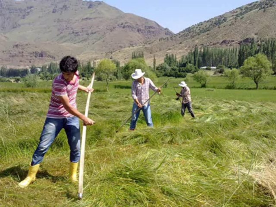 Aşağı Çayırlı Köyü Cennet Yurdu 2013