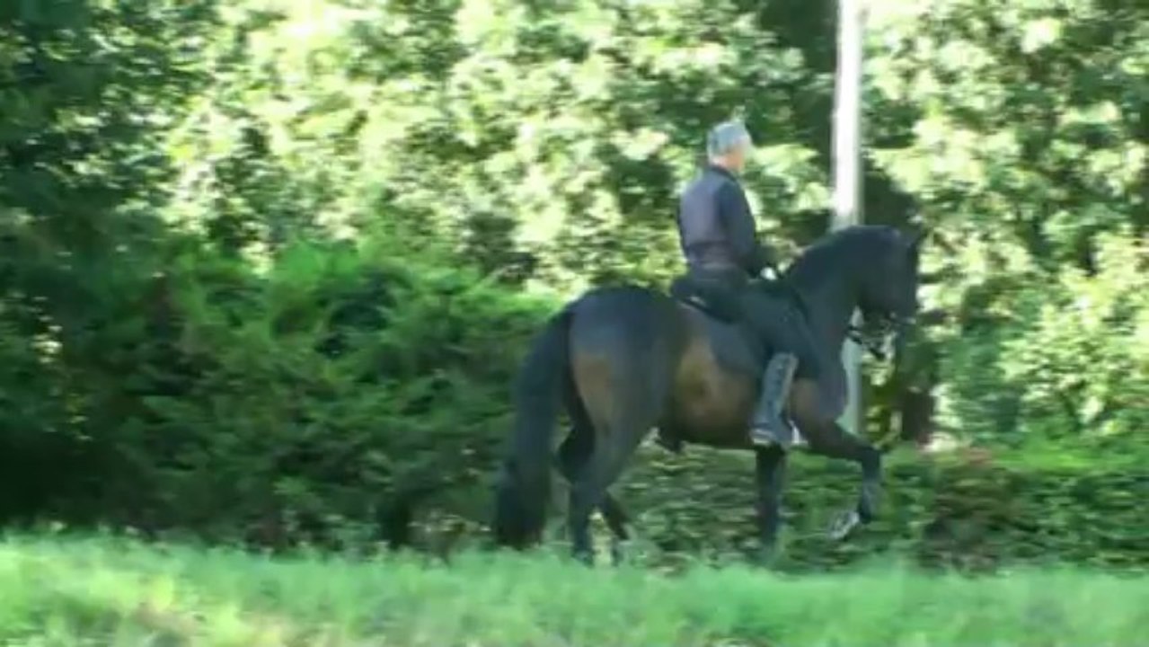 Piaffer passage en musique