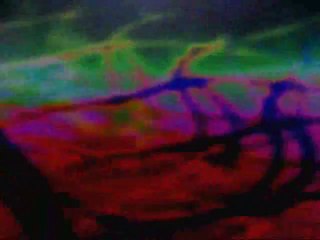 Daniel Brandell...Click to Call