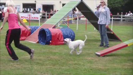 Eclipse Concours de Saint Nazaire 2013-09-29