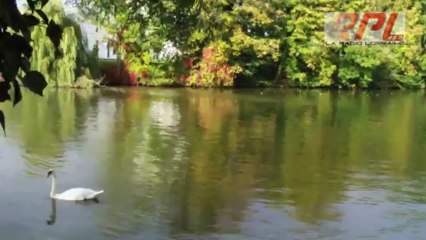 Un dimanche d'automne au bord de la Moselle