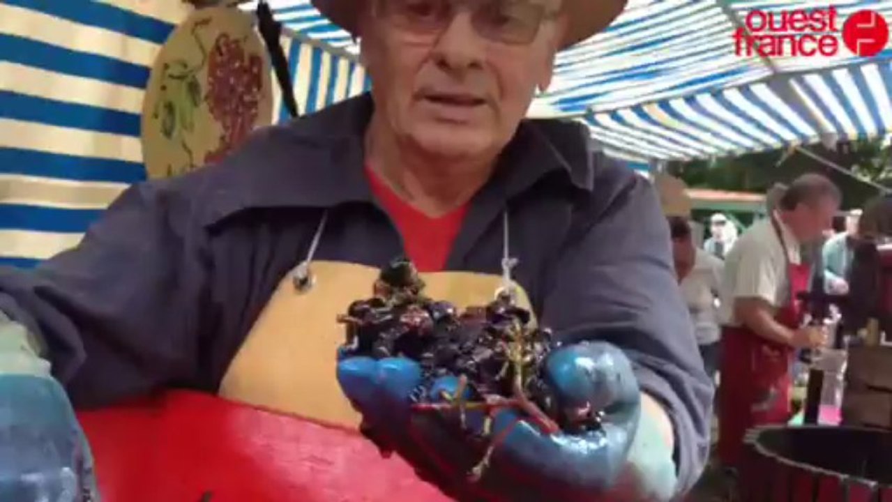 Fête des vendanges - Fête des vendanges