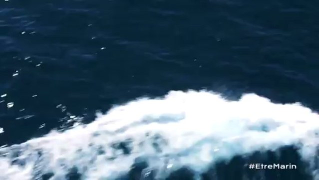 Caméra embarquée - L' écume du jour