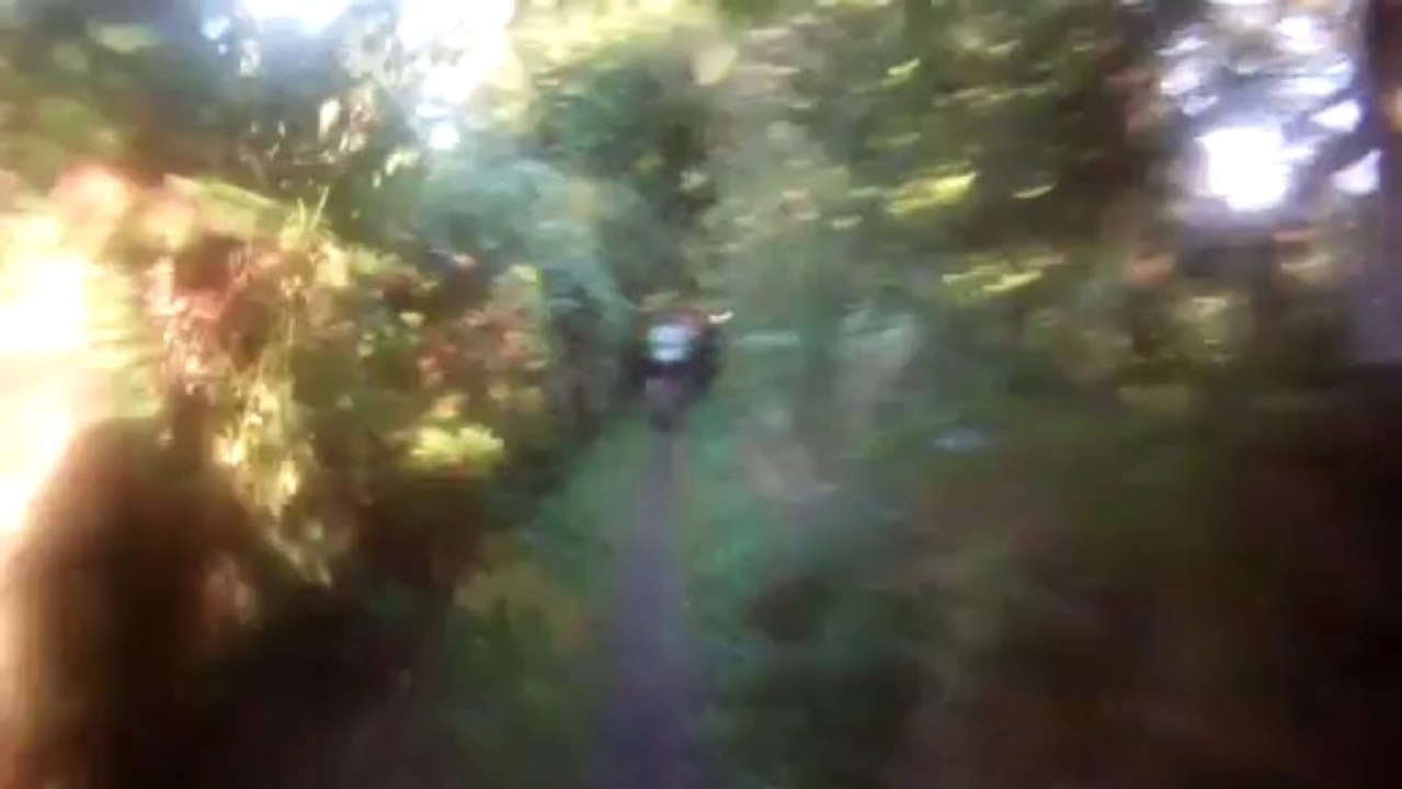 Les Bouquetins aux Roch des mont d'Arrée 2013