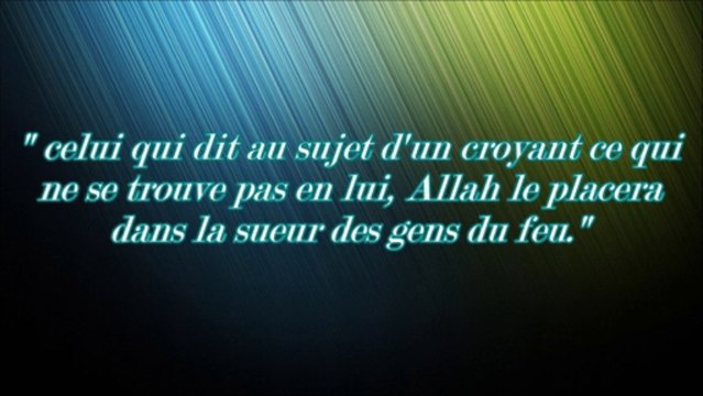 Médisance ou Jarh wa Ta'dil ? Shaykh Muhammad Al Imam 4