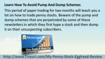 Penny Stock Egghead Pump and Dump   Penny Stock Egghead Picks