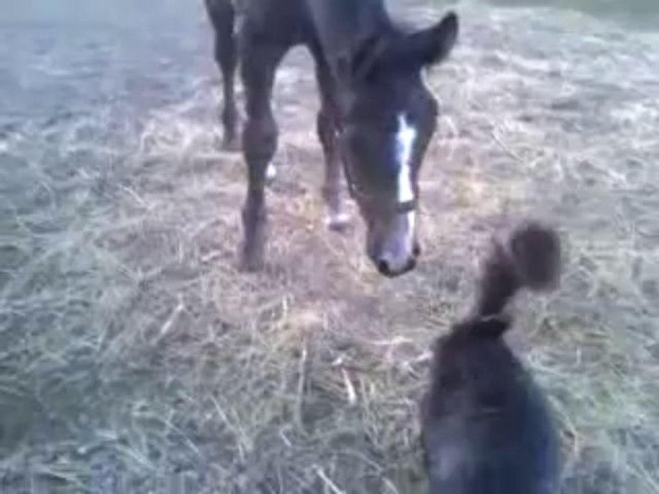 DESIR et TITCOEUR