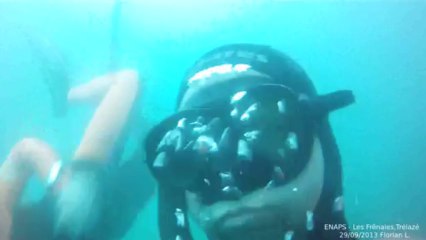 enaps-fresnaies-290913-lower2k