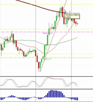 Forex Live Day Trading- Live Forex Room, Forex Signals - Forex Mentor