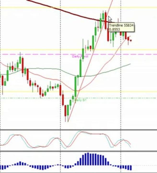 Forex Live Day Trading- Live Forex Room, Forex Signals - Forex Mentor