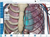 Human Anatomy Atlas tutorial (iPad)
