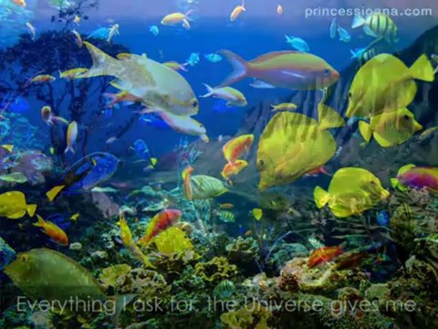 Self Healing Meditation, Power of thoughts, Buddha Bar music meditation