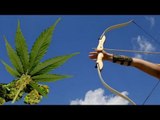 Man shoots pot arrow at prison in marijuana smuggling fail