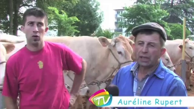 Festival des traditions landaises à Tyrosse