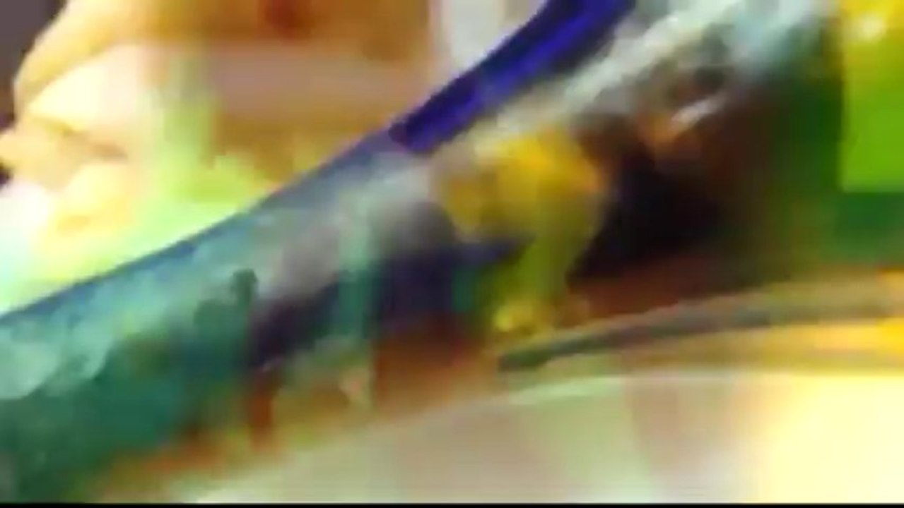 ▶ LATINO - FÉRIAS DE PATRÃO''STUDIOJFS LANÇAMENTO'' (CLIPE PROMOCIONAL OFICIAL 2013)