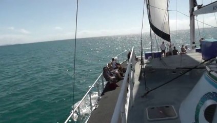 2013-08-18 Visit to Low Isles Great Barrier Reef Australia
