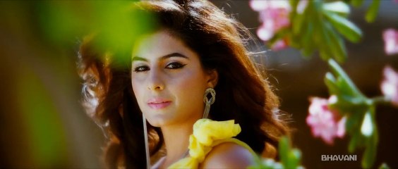 Nitin's Gunde Jaari Gallanthayyinde Movie Neve Neve Video Song HD Watch Online