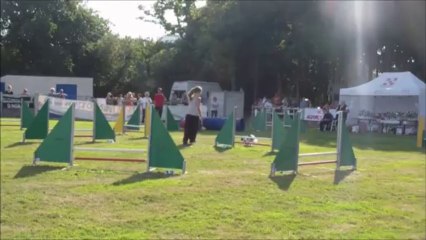 Widget Concours de Saint Nazaire 2013-09-29