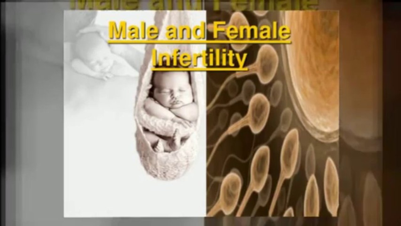 Pregnancy Miracle - Review Of Lisa Olson Pregnancy Miracle System