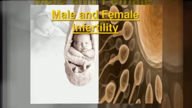 Pregnancy Miracle - Review Of Lisa Olson Pregnancy Miracle System