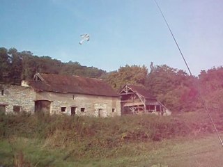 appelant pigeon fait maison