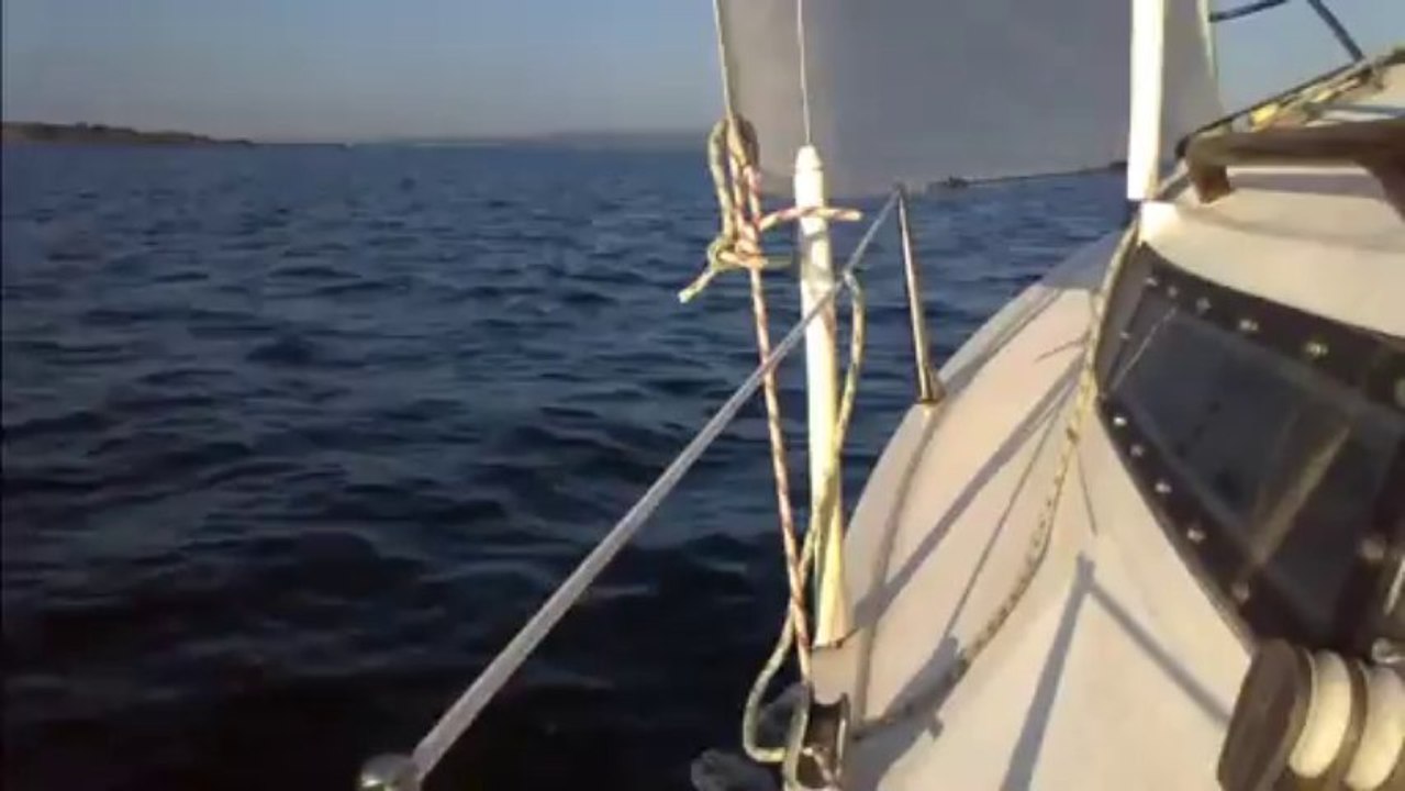 Sortie Edel 2 Peyriac de Mer