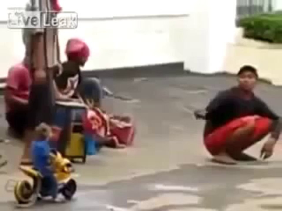 Şempaze Motosiklet Kazası Komik