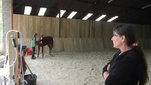 L'ECURIE DE LYLY, PARADIS POUR CHEVAUX