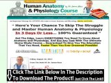 Human Anatomy Course Review   Human Anatomy And Physiology Course James Ross