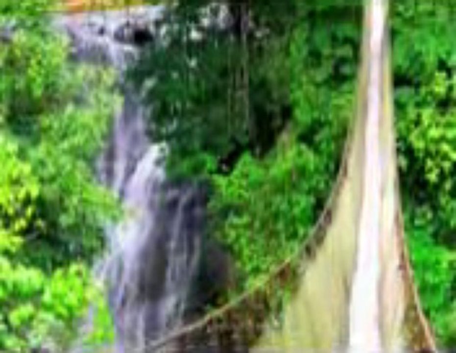 Manuel Antonio Area Slideshow - Manuel Antonio Rental Properties In Costa Rica