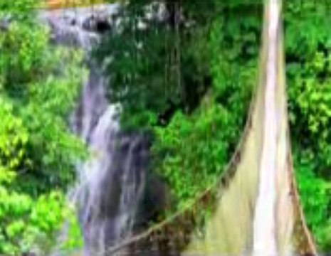 Manuel Antonio Area Slideshow - Manuel Antonio Rental Properties In Costa Rica