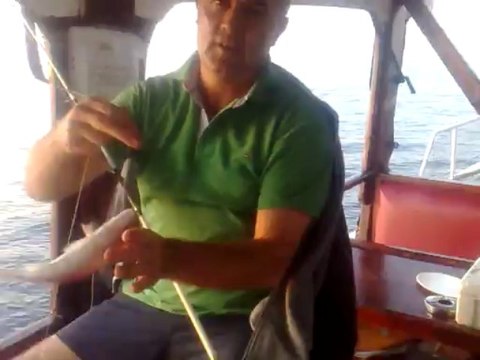 gunbatiminda mercan avi