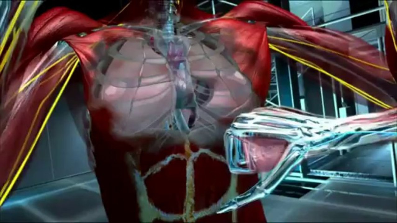 Science du combat - Les arts martiaux mixtes