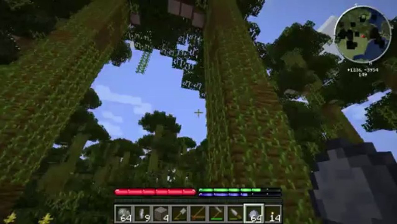 SpitNine sur TerraFirmaCraft Ep 02