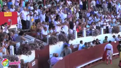 Novillada des Fêtes de Soustons