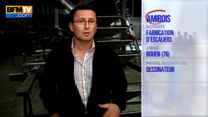 TOUS POUR L’EMPLOI – Fabricant d'escaliers, cherche un dessinateur - 30/09