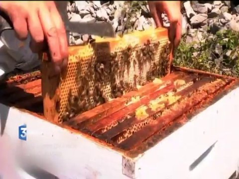 Pyrénées-Pirineos avec Marina Consul Cabanis