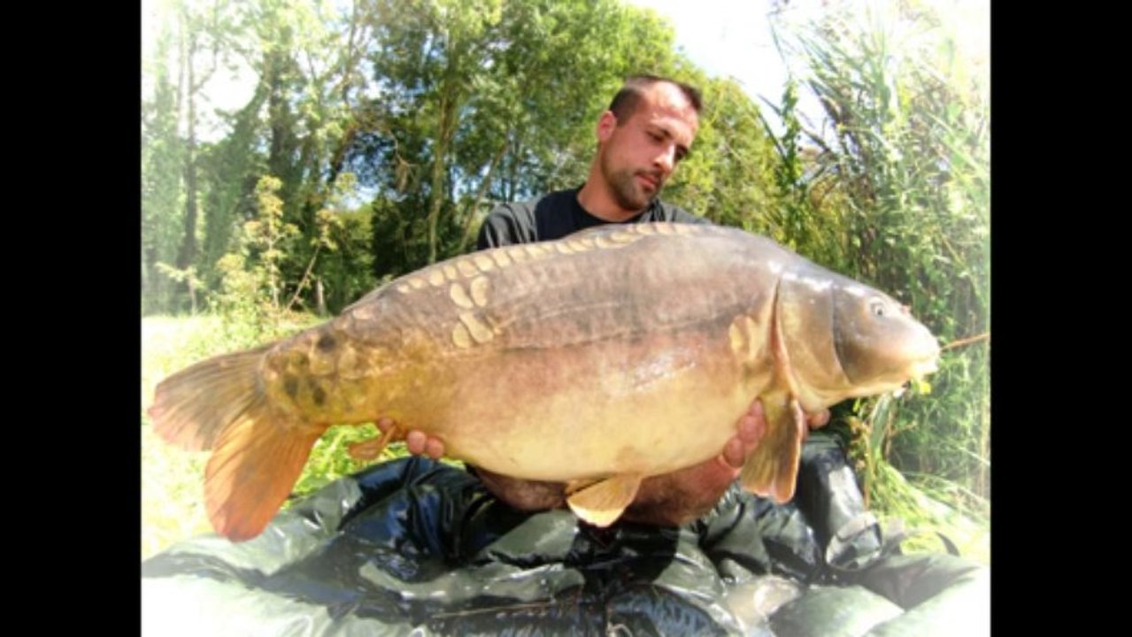 Pêche etang des Fourches