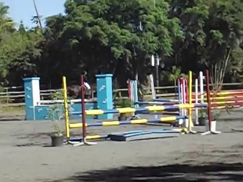 29.09.13 - CSO amateur au CHE - club 1 vitesse - tour d'honneur