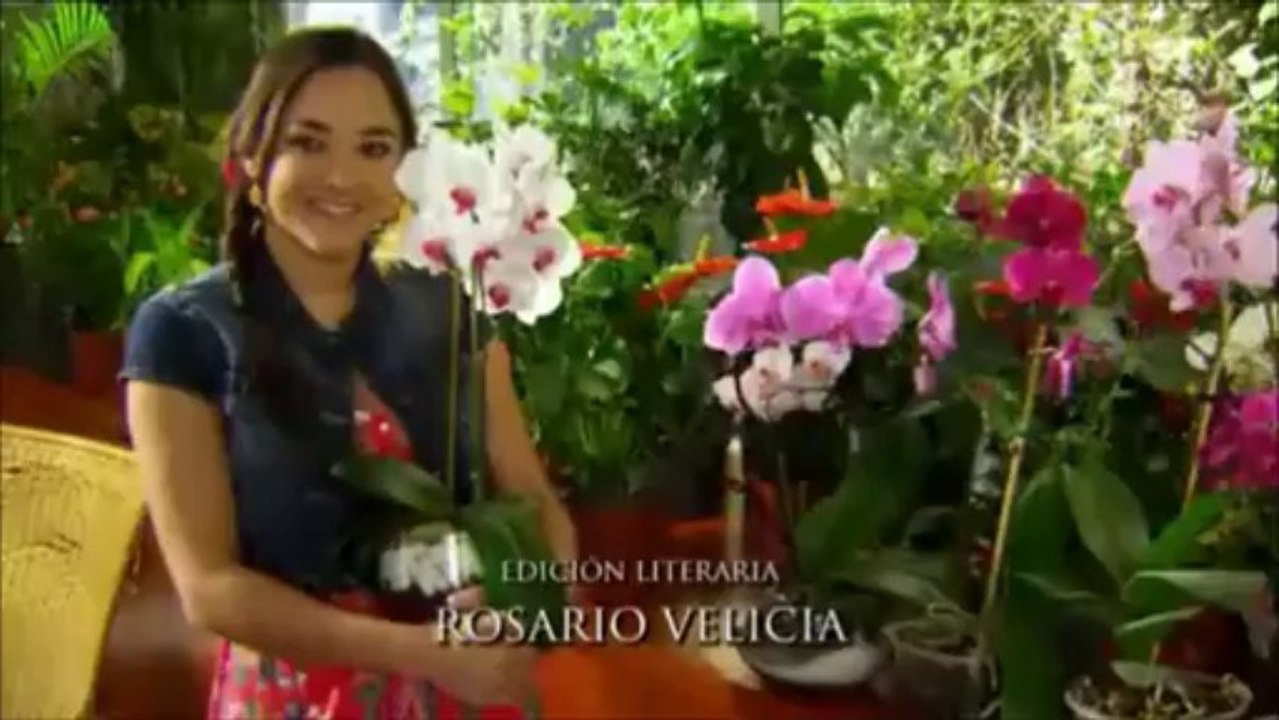 Victoria y arriaga (parte 55)
