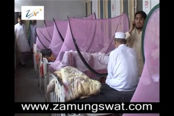 Swat Dengue Repot Murad Ali Khan