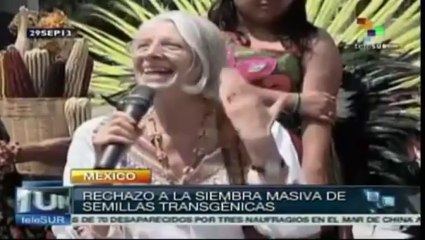 Celebran en México el Día Nacional del Maíz