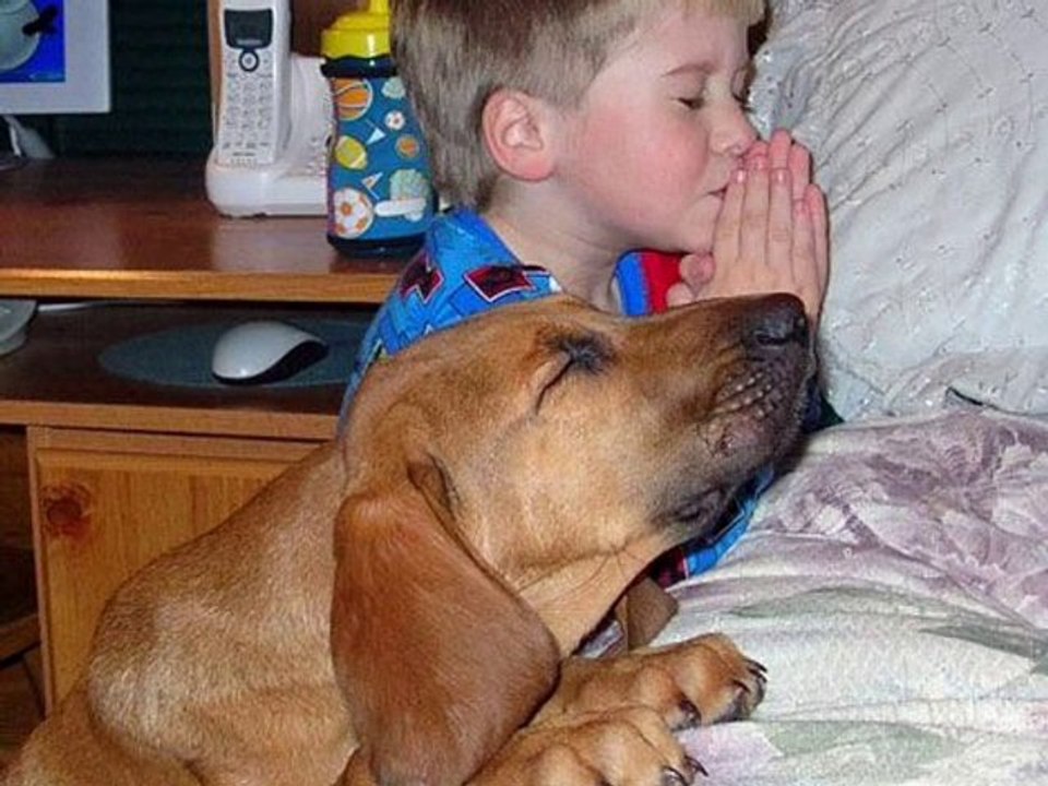 Richard Carpenter - Bless The Beast And Children